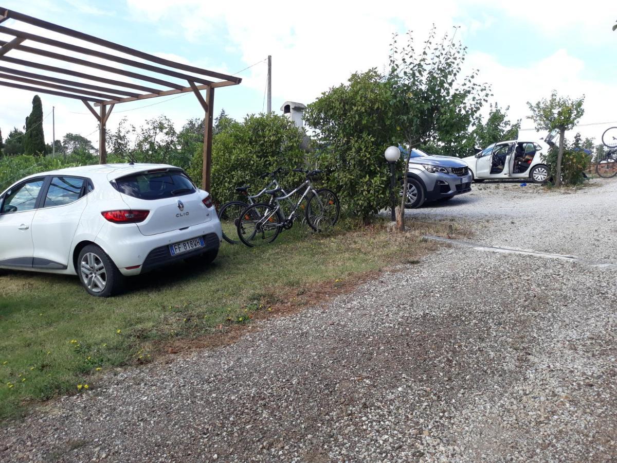 Agriturismo Podere Camollia Costalpino Екстериор снимка